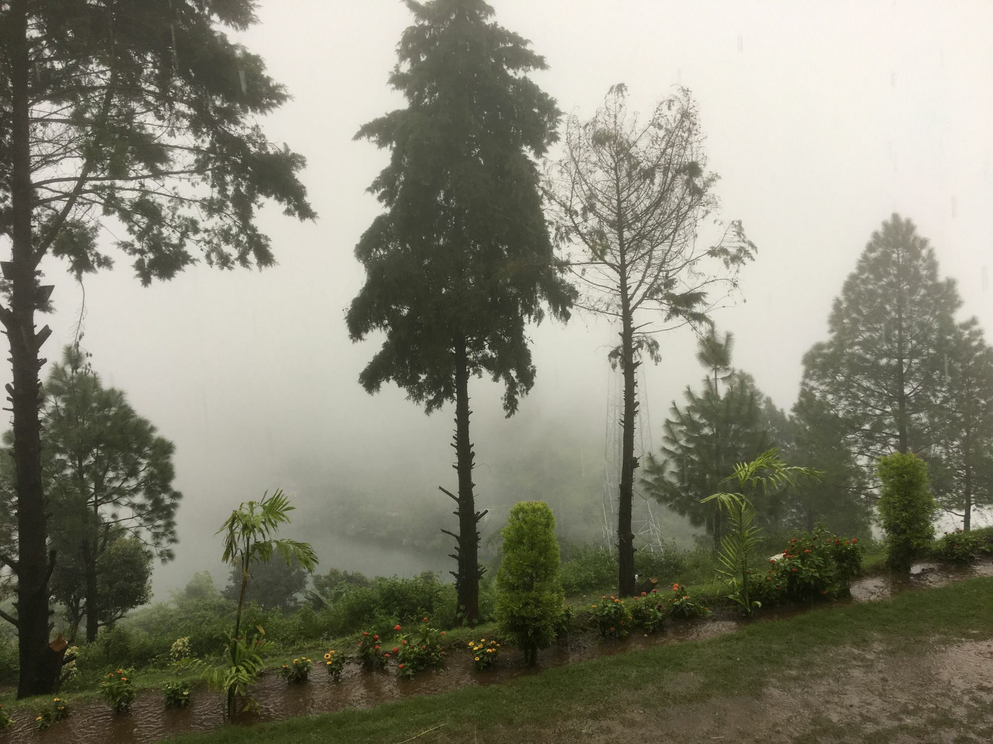 Nainital Adventure Park & Resort Extérieur photo